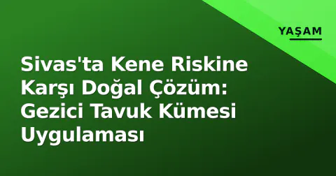 Sivas'ta Kene Riskine Karşı Doğal Çözüm: Gezici Tavuk Kümesi Uygulaması