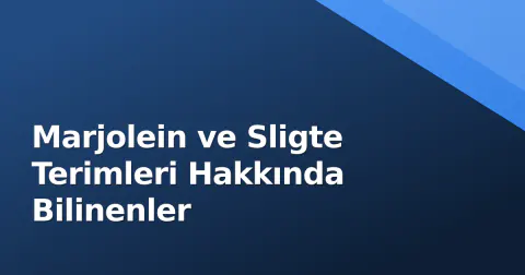 Marjolein ve Sligte Terimleri Hakkında Bilinenler