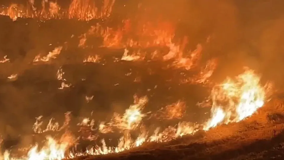 Şanlıurfa Siverek'te 300 Dönüm Anız Yangını: 1 Kişi Gözaltına Alındı görseli