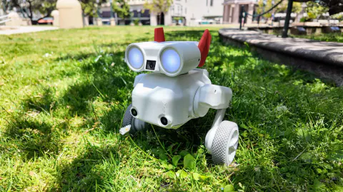 Mondo Robotics'ten Yeni Ürün: 800 Dolarlık Zıplayan Robot Köpek Beni