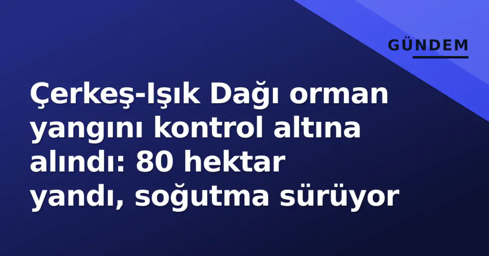 Çerkeş-Işık Dağı orman yangını kontrol altına alındı: 80 hektar yandı, soğutma sürüyor görseli
