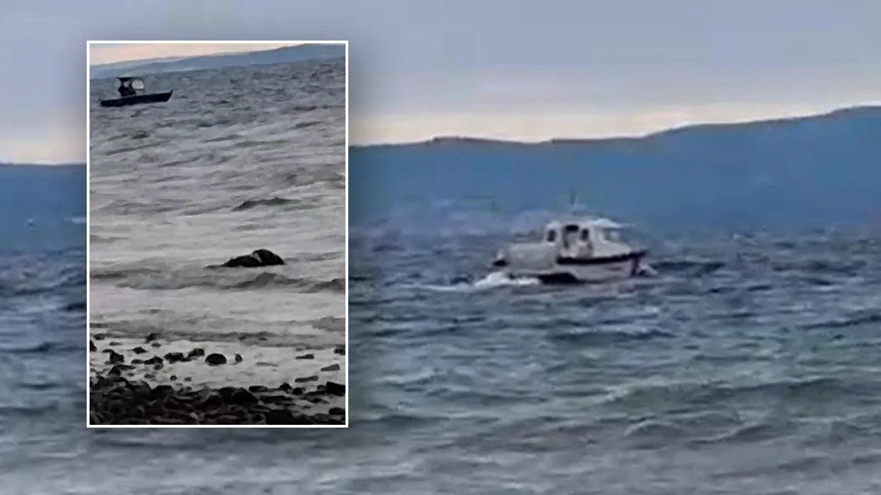 Lake Pepin'de Tekne Faciası: 3 Kişi Kayıplara Karıştı Lake Pepin'de Tekne Faciası: 3 Kişi Kayıplara Karıştı