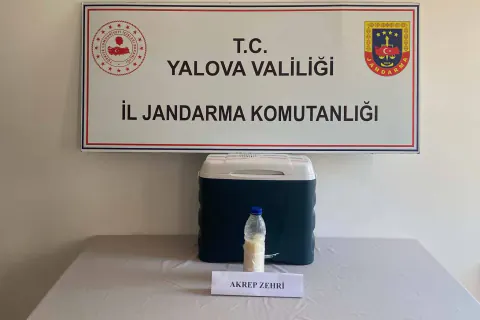 Yalova'da 5 Milyon Dolarlık Akrep Zehri Operasyonu
