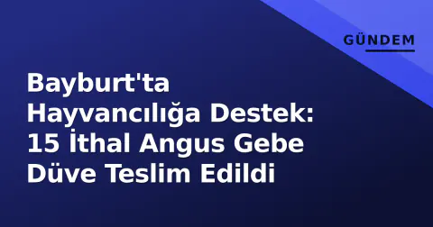 Bayburt'ta Hayvancılığa Destek: 15 İthal Angus Gebe Düve Teslim Edildi