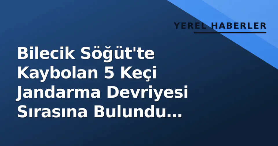 Bilecik Söğüt'te Kaybolan 5 Keçi Jandarma Devriyesi Sırasına Bulundu Sahibine Teslim Edildi görseli