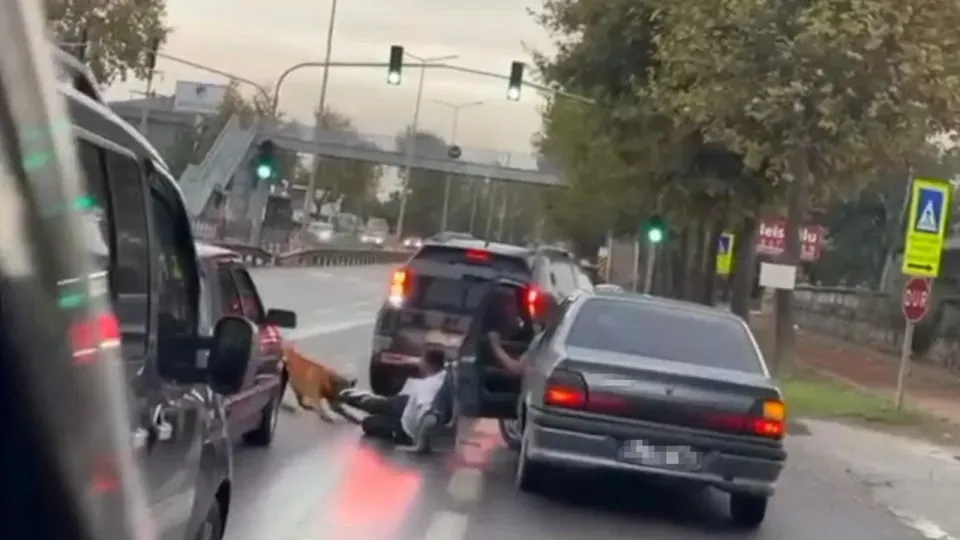 Sakarya'da zinciri kopan köpek vatandaşı bacağından ısırdı: Mağdur hastanede, köpek gözlemde görseli