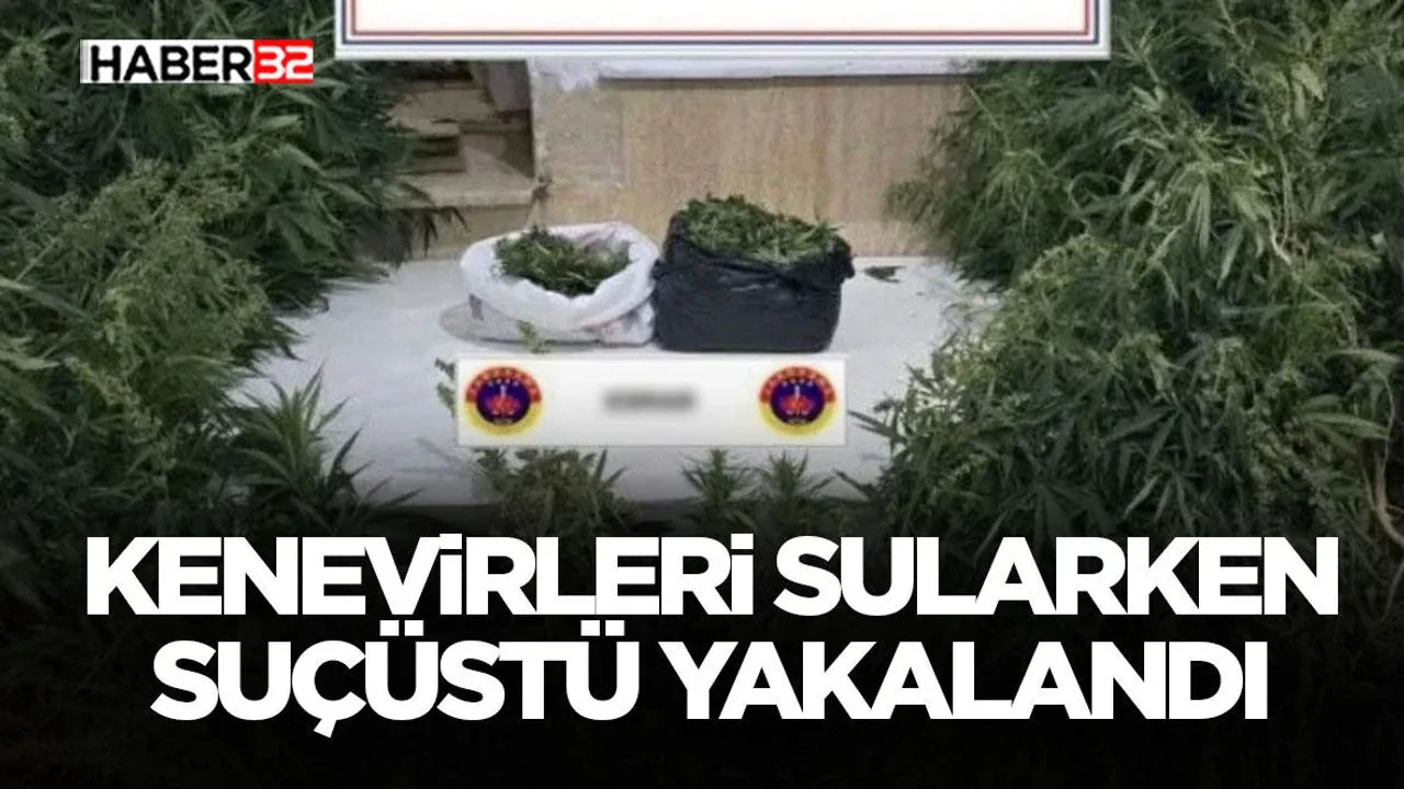 Burdur'da Kenevir Operasyonu: Sulama Yaparken Yakalandı Burdur'da Kenevir Operasyonu: Sulama Yaparken Yakalandı