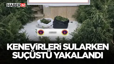 Burdur'da Kenevir Operasyonu: Sulama Yaparken Yakalandı