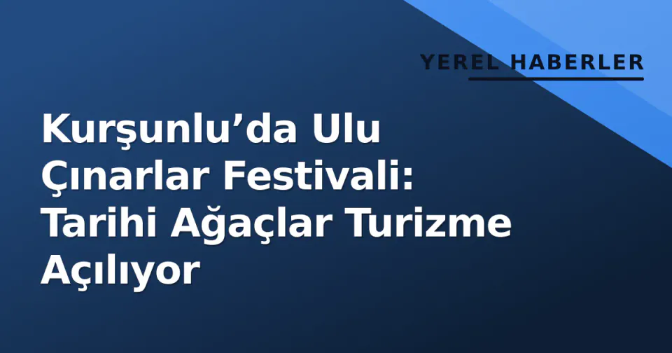 Kurşunlu’da Ulu Çınarlar Festivali: Tarihi Ağaçlar Turizme Açılıyor görseli