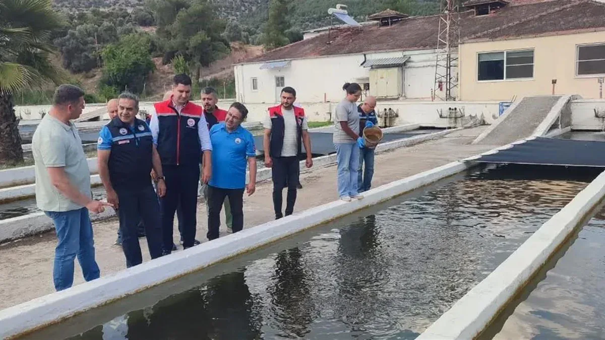 Bozdoğan'da Su Ürünleri Üretimi Rekora Koşuyor: 3 Bin 696 Ton Üretim Bozdoğan'da Su Ürünleri Üretimi Rekora Koşuyor: 3 Bin 696 Ton Üretim