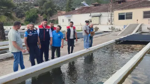 Bozdoğan'da Su Ürünleri Üretimi Rekora Koşuyor: 3 Bin 696 Ton Üretim