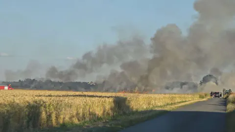 Flächenbrand Nedir? Yaz Sıcaklarıyla Artan Alan Yangınları ve Riskler