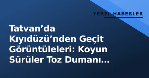 Tatvan’da Kıyıdüzü’nden Geçit Görüntüleleri: Koyun Sürüler Toz Dumanı Yükseltti