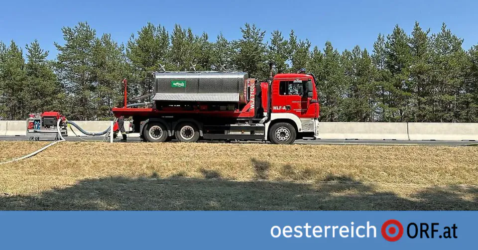 Avusturya'da Rekor Sıcaklık ve Orman Yangınları görseli