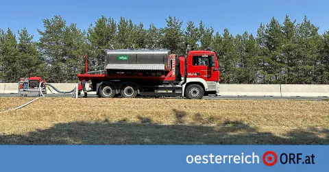 Avusturya'da Rekor Sıcaklık ve Orman Yangınları