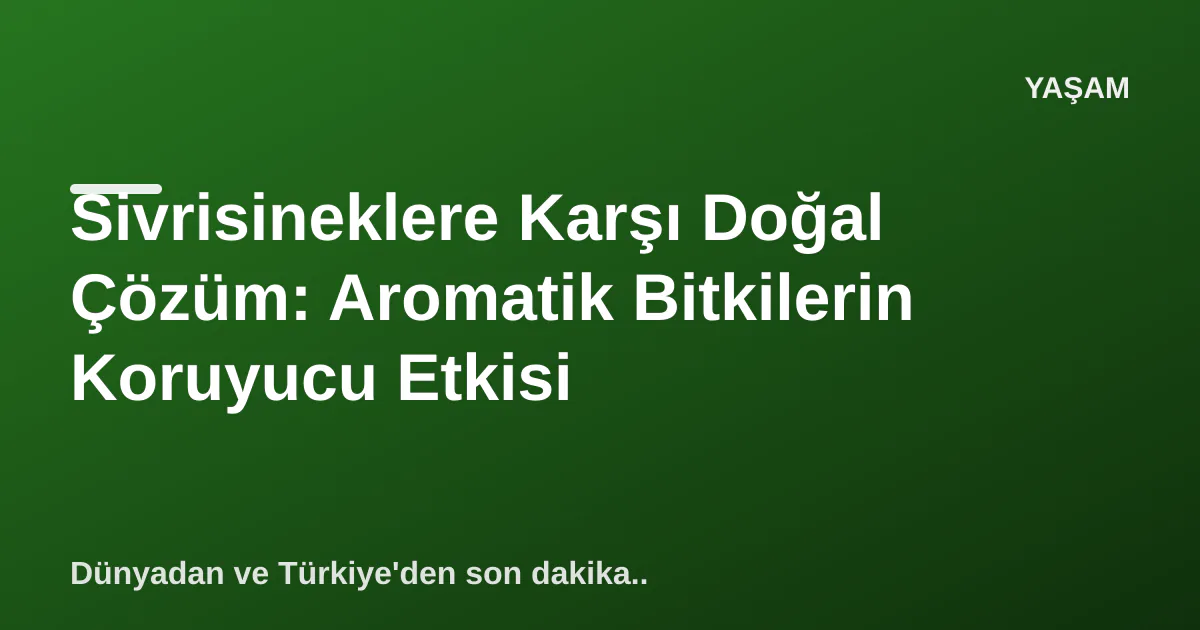 Sivrisineklere Karşı Doğal Çözüm: Aromatik Bitkilerin Koruyucu Etkisi Sivrisineklere Karşı Doğal Çözüm: Aromatik Bitkilerin Koruyucu Etkisi