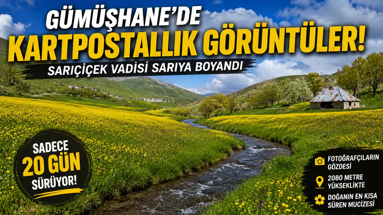 Gümüşhane'de Zamanla Yarış: Sarıçiçek Vadisi'nde Görsel Şölen Başladı Gümüşhane'de Zamanla Yarış: Sarıçiçek Vadisi'nde Görsel Şölen Başladı