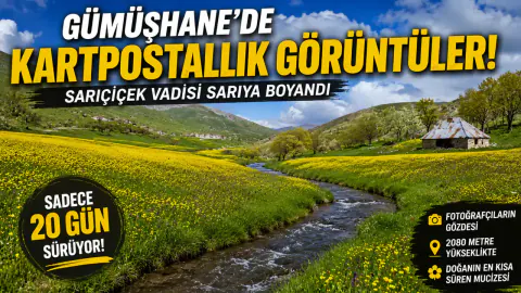 Gümüşhane'de Zamanla Yarış: Sarıçiçek Vadisi'nde Görsel Şölen Başladı