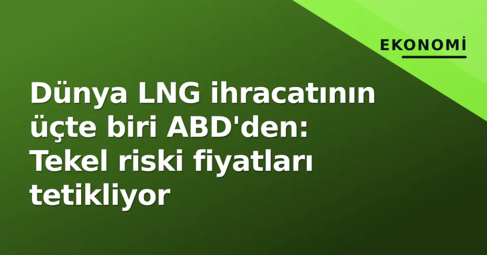 Dünya LNG ihracatının üçte biri ABD'den: Tekel riski fiyatları tetikliyor görseli