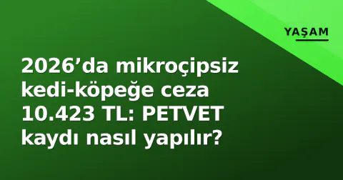 2026’da mikroçipsiz kedi-köpeğe ceza 10.423 TL: PETVET kaydı nasıl yapılır?