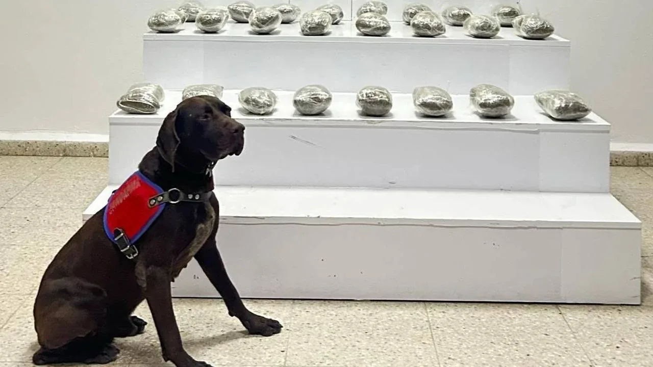 Başkale'de 10 kilo toz esrar ele geçirildi, 3 şüpheli gözaltında Başkale'de 10 kilo toz esrar ele geçirildi, 3 şüpheli gözaltında