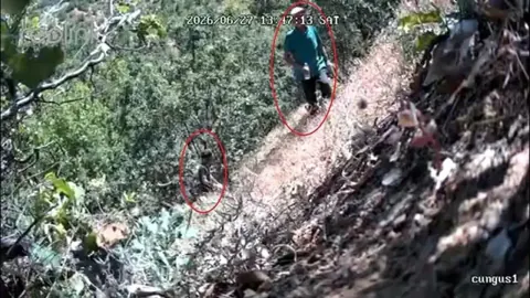 CHP İlçe Başkanı ve Oğlu Kenevir Tarlasında Fotokapana Yakalandı