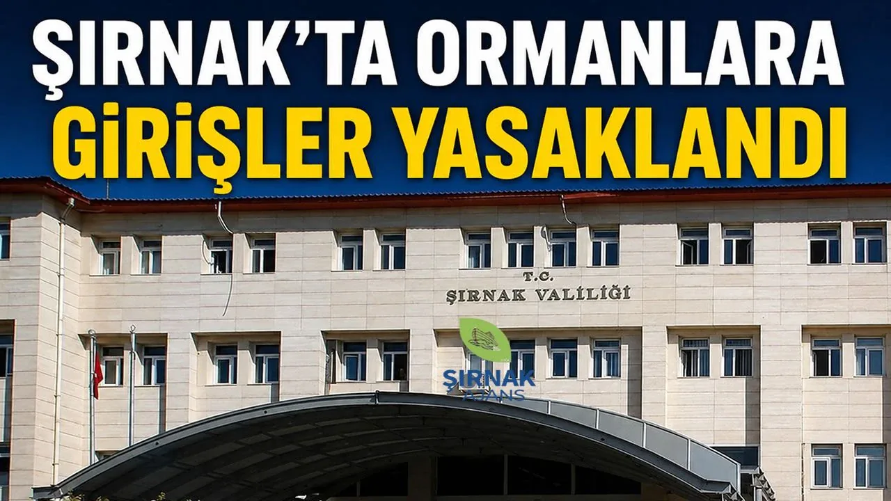 Şırnak'ta Ormanlara Giriş ve Ateş Yakma Yasaklandı: İşte Detaylar Şırnak'ta Ormanlara Giriş ve Ateş Yakma Yasaklandı: İşte Detaylar