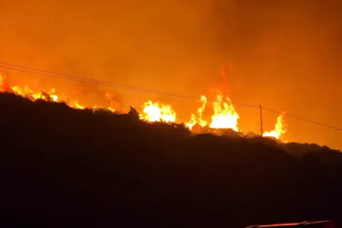 İzmir Dikili'de Korkutan Yangın: Bademli Mevkiinde Müdahale Sürüyor