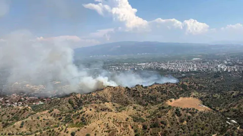 Nazilli'de Zeytinlik Yangını: 4 Helikopter ve 15 Arazözle Müdahale Sürüyor