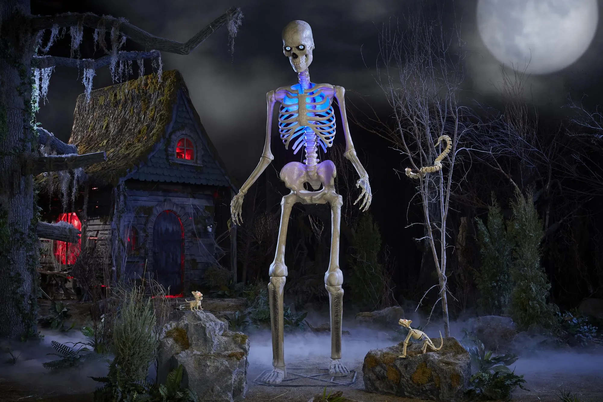 Home Depot'un Viral İskeleti Skelly Konuşmaya Başladı: 2026 Özellikleri Belli Oldu Home Depot'un Viral İskeleti Skelly Konuşmaya Başladı: 2026 Özellikleri Belli Oldu