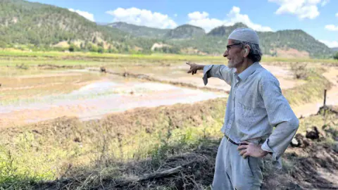 Karabük'te Ormandan Gelen Yaka Seli 30 Dönüm Çeltik Tarlasını Vurdu