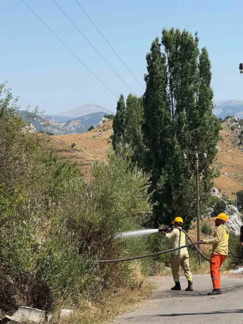 Alanya'da Korkutan Yangın: Otluk Alanda Alevler Kontrol Altına Alındı
