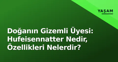 Doğanın Gizemli Üyesi: Hufeisennatter Nedir, Özellikleri Nelerdir?