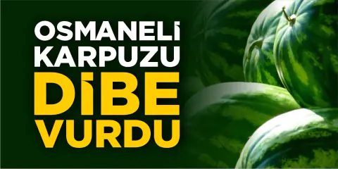 Osmaneli Karpuzunda Hasat Dönemi: Fiyatlar Dibe Vurdu