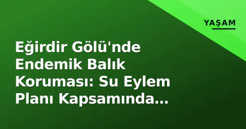 Eğirdir Gölü'nde Endemik Balık Koruması: Su Eylem Planı Kapsamında Örnekleme Çalışmaları Başladı