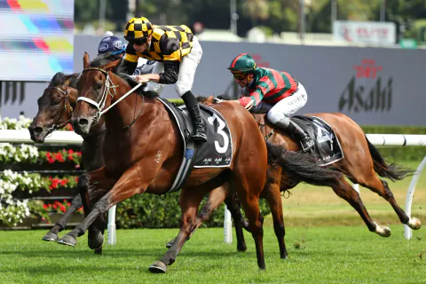 Royal Ascot'ta Avustralya Rüzgarı: Joliestar Şampiyonluk İçin Pistte