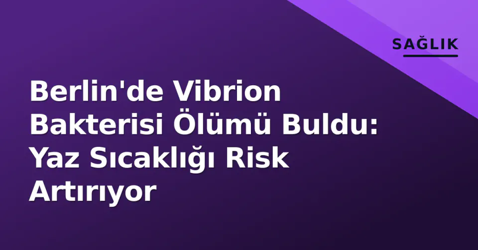 Berlin'de Vibrion Bakterisi Ölümü Buldu: Yaz Sıcaklığı Risk Artırıyor görseli