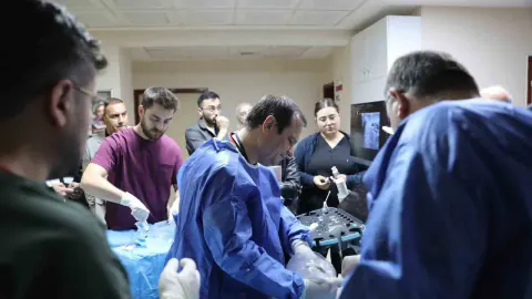 Kütahya'da uluslararası mikrodalga ablasyon eğitimi: 12 canlı vaka, 5 ülkeden hekim